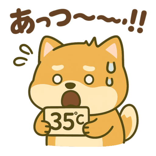 暑さに負けない柴犬！