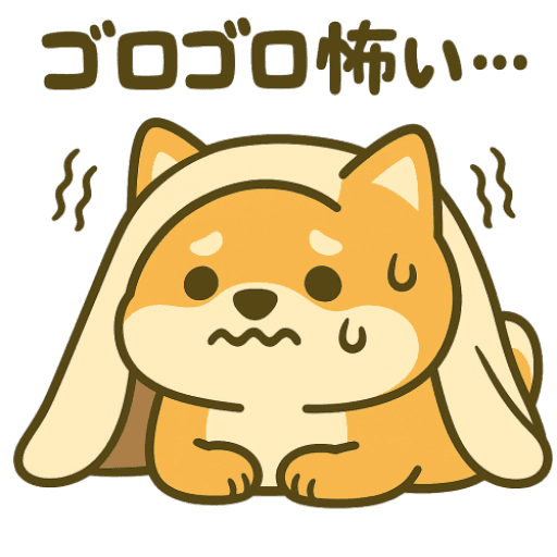 暑さに負けない柴犬！