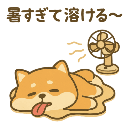 暑さに負けない柴犬！