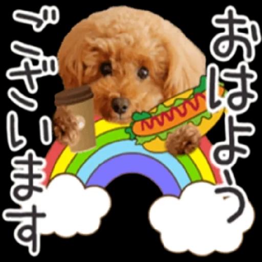 トイプードル🐩No. ⒉❣️