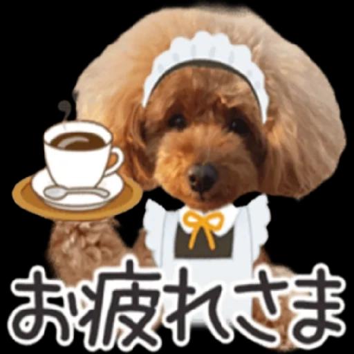 トイプードル🐩No. ⒉❣️