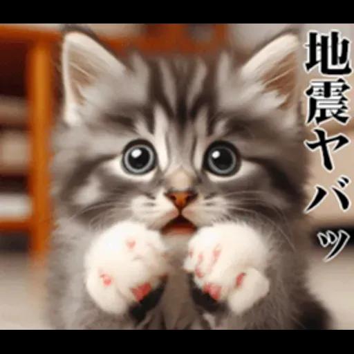 地震の時に使える猫スタンプ