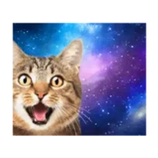 動く！驚く！宇宙猫 -Space Cat-