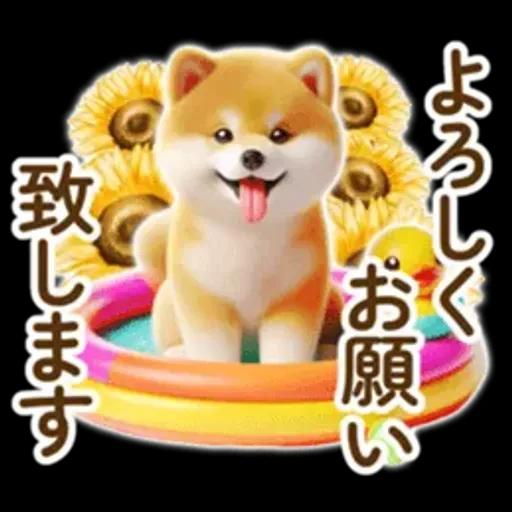 良く使う言葉の夏の柴犬- ̗̀