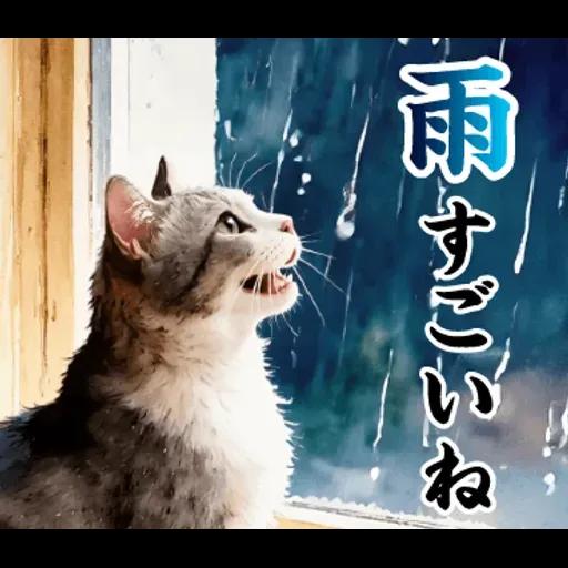 飛び出す【初夏・梅雨】大人の季節あいさつ