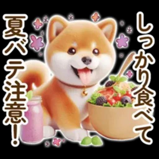 良く使う言葉の夏の柴犬- ̗̀