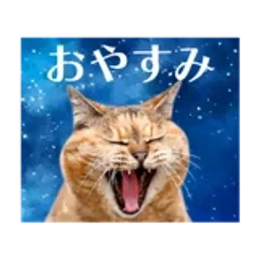 動く！驚く！宇宙猫 -Space Cat-