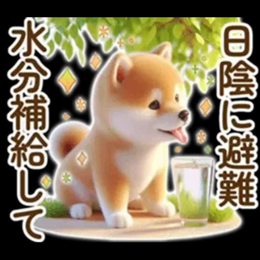 良く使う言葉の夏の柴犬- ̗̀