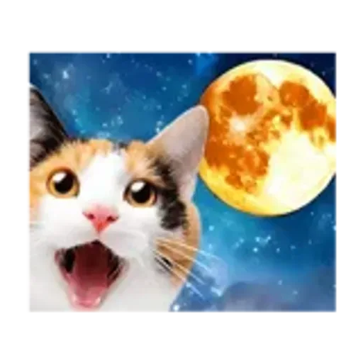 動く！驚く！宇宙猫 -Space Cat-