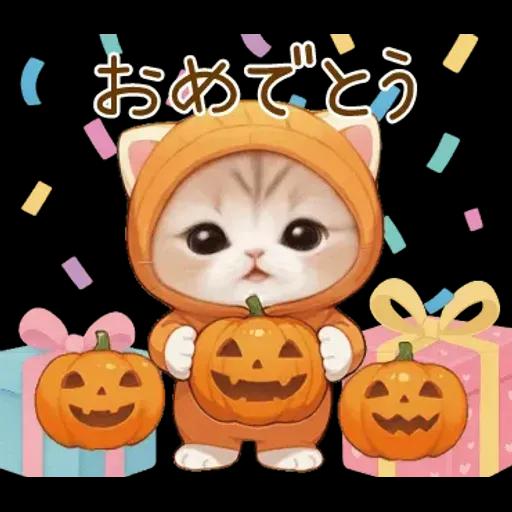 スコティッシュ猫 みかん服