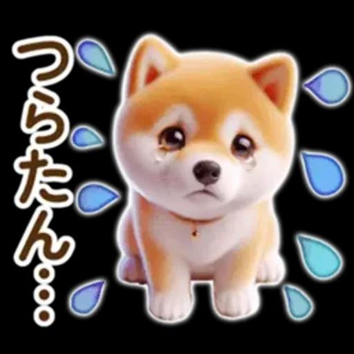 良く使う言葉の夏の柴犬- ̗̀