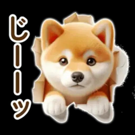 良く使う言葉の夏の柴犬- ̗̀