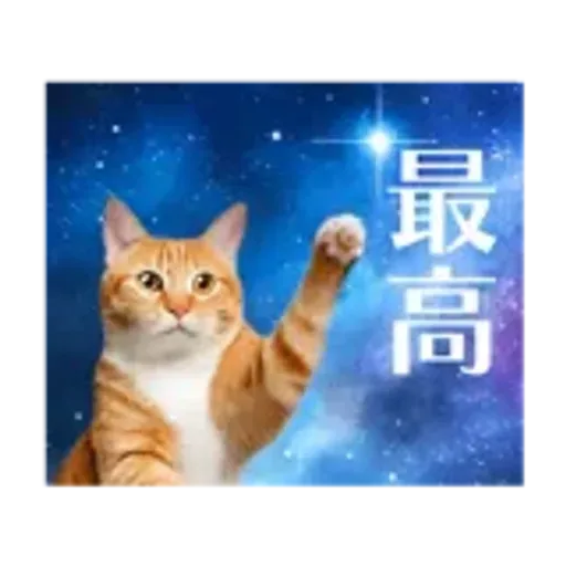 動く！驚く！宇宙猫 -Space Cat-