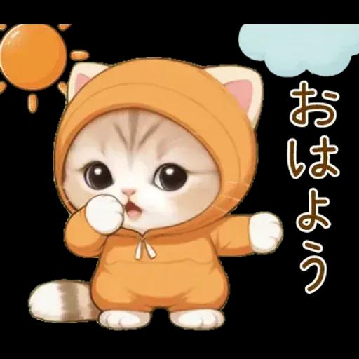 スコティッシュ猫 みかん服