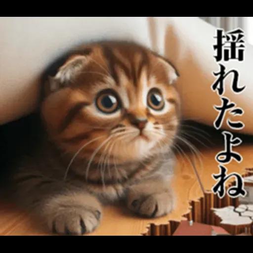 地震の時に使える猫スタンプ