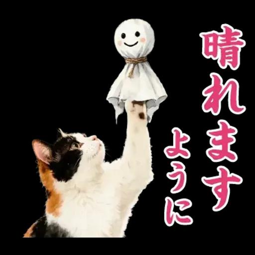 飛び出す【初夏・梅雨】大人の季節あいさつ