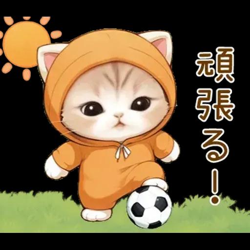 スコティッシュ猫 みかん服