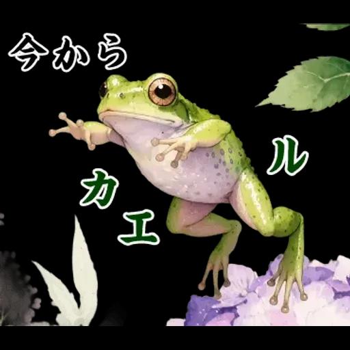 飛び出す【初夏・梅雨】大人の季節あいさつ