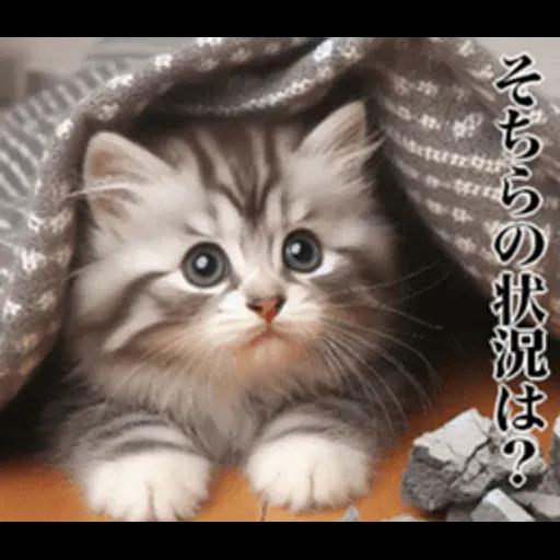 地震の時に使える猫スタンプ