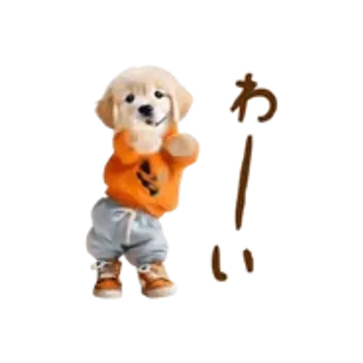 おどる癒しわんこハロウィン