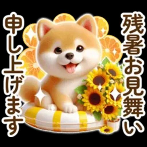 良く使う言葉の夏の柴犬- ̗̀