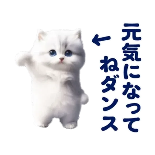 踊る！ペルシャ猫