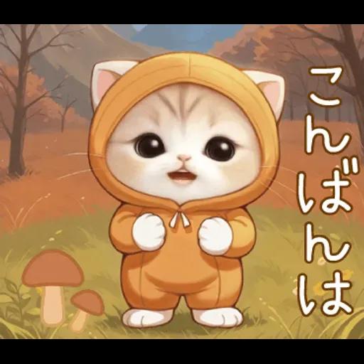 スコティッシュ猫 みかん服