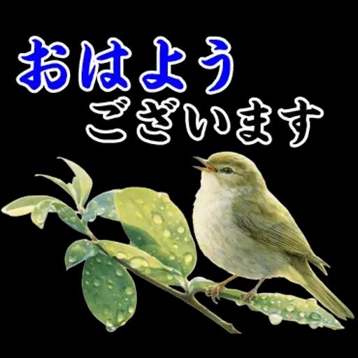 飛び出す【初夏・梅雨】大人の季節あいさつ