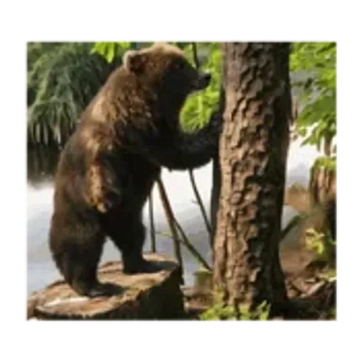 you are the love of my life!