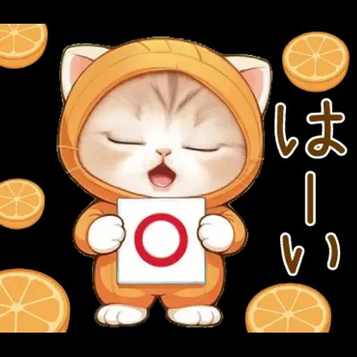 スコティッシュ猫 みかん服