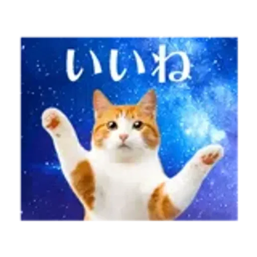 動く！驚く！宇宙猫 -Space Cat-