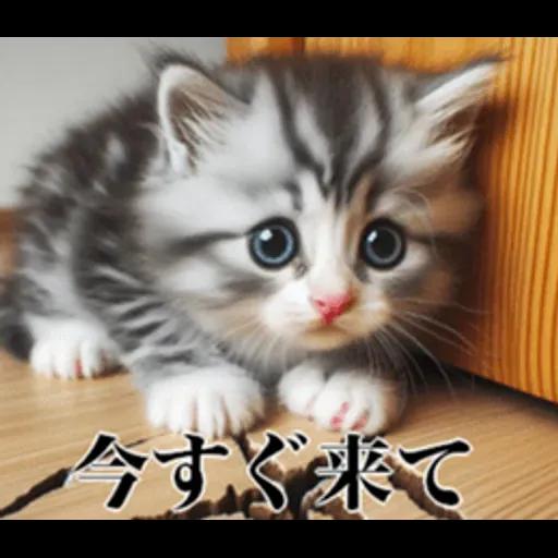 地震の時に使える猫スタンプ