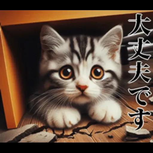 地震の時に使える猫スタンプ