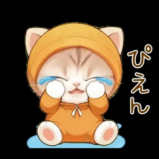 スコティッシュ猫 みかん服