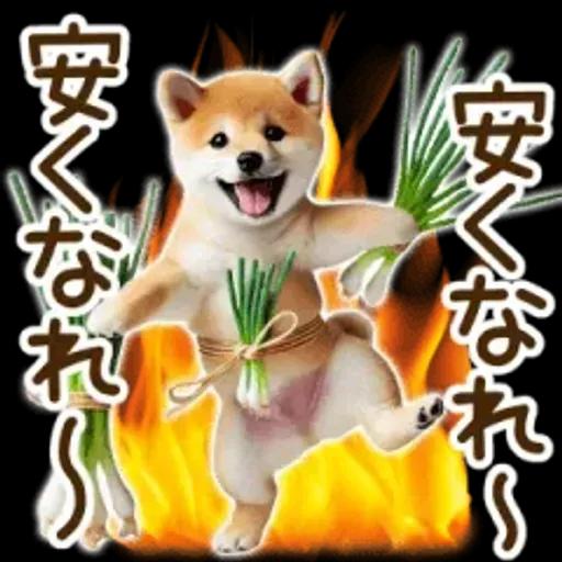 喜怒哀楽の激しい柴犬の野菜ダンス