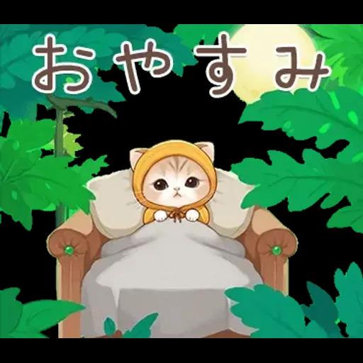 スコティッシュ猫 みかん服