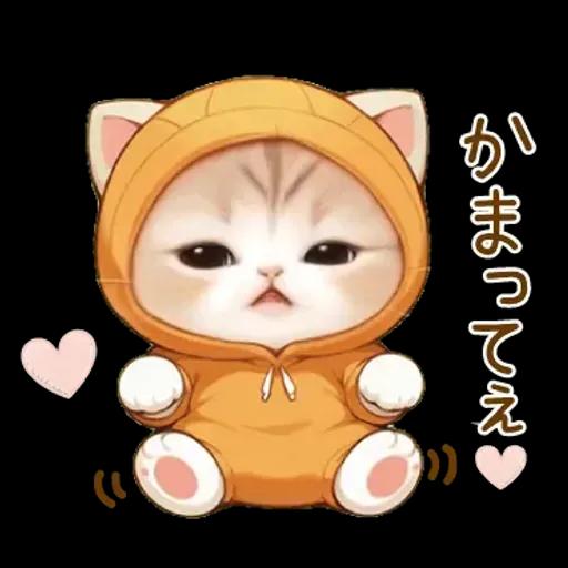 スコティッシュ猫 みかん服
