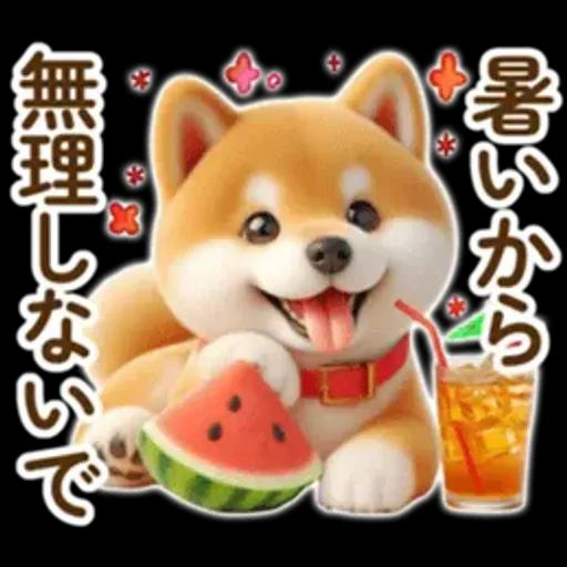 良く使う言葉の夏の柴犬- ̗̀