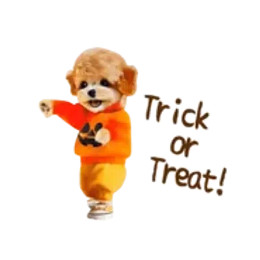 おどる癒しわんこハロウィン