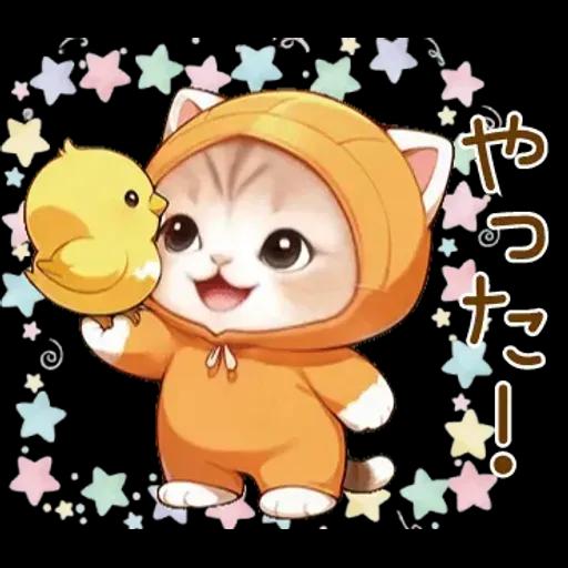 スコティッシュ猫 みかん服