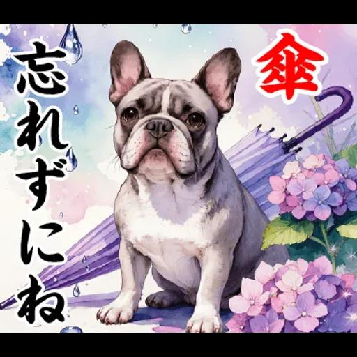 飛び出す【初夏・梅雨】大人の季節あいさつ