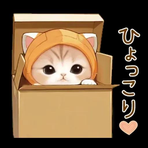 スコティッシュ猫 みかん服