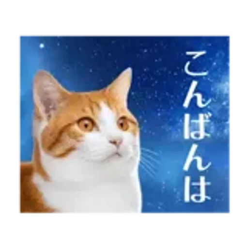 動く！驚く！宇宙猫 -Space Cat-