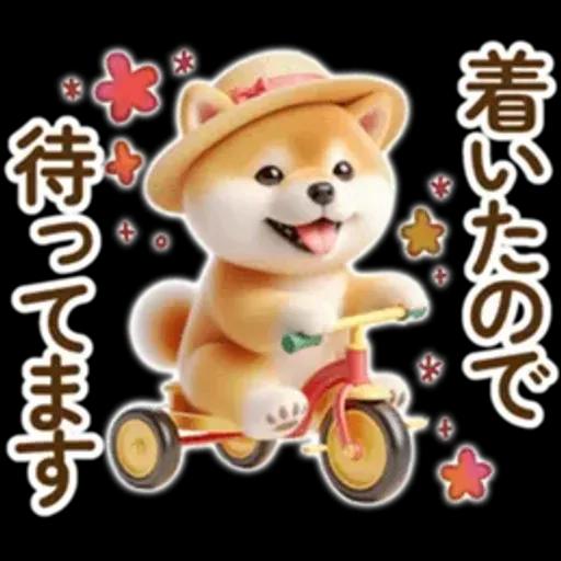 良く使う言葉の夏の柴犬- ̗̀