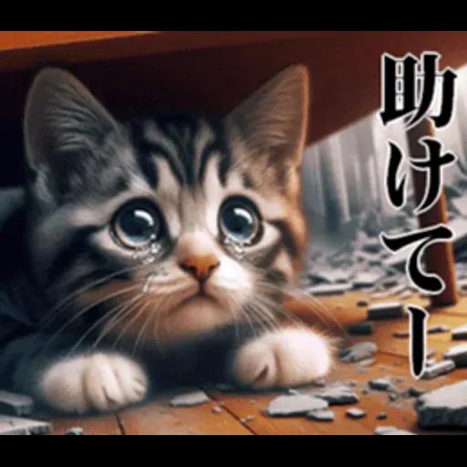 地震の時に使える猫スタンプ