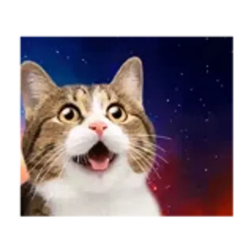 動く！驚く！宇宙猫 -Space Cat-