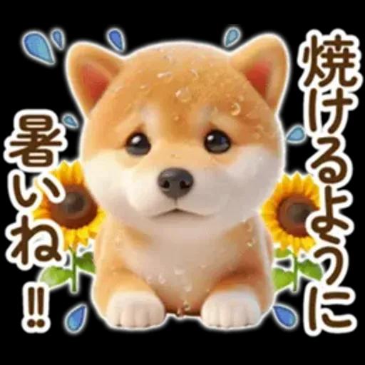 良く使う言葉の夏の柴犬- ̗̀