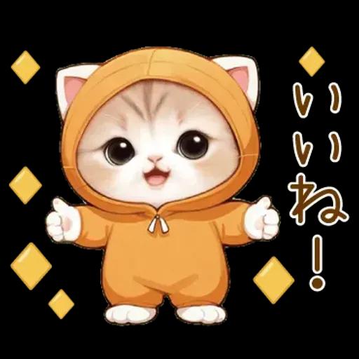 スコティッシュ猫 みかん服