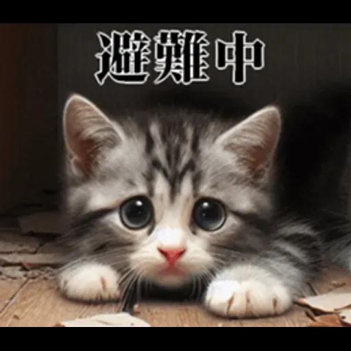 地震の時に使える猫スタンプ