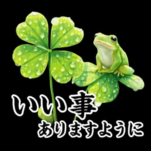 飛び出す【初夏・梅雨】大人の季節あいさつ